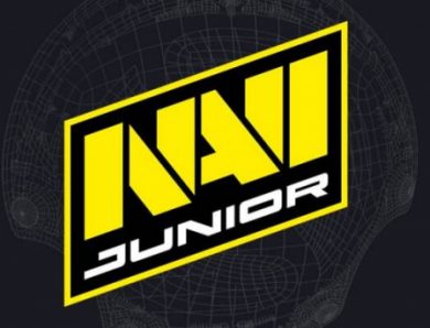 Склад NAVI Junior з Dota 2 посів друге місце на MESA Invitational 2024